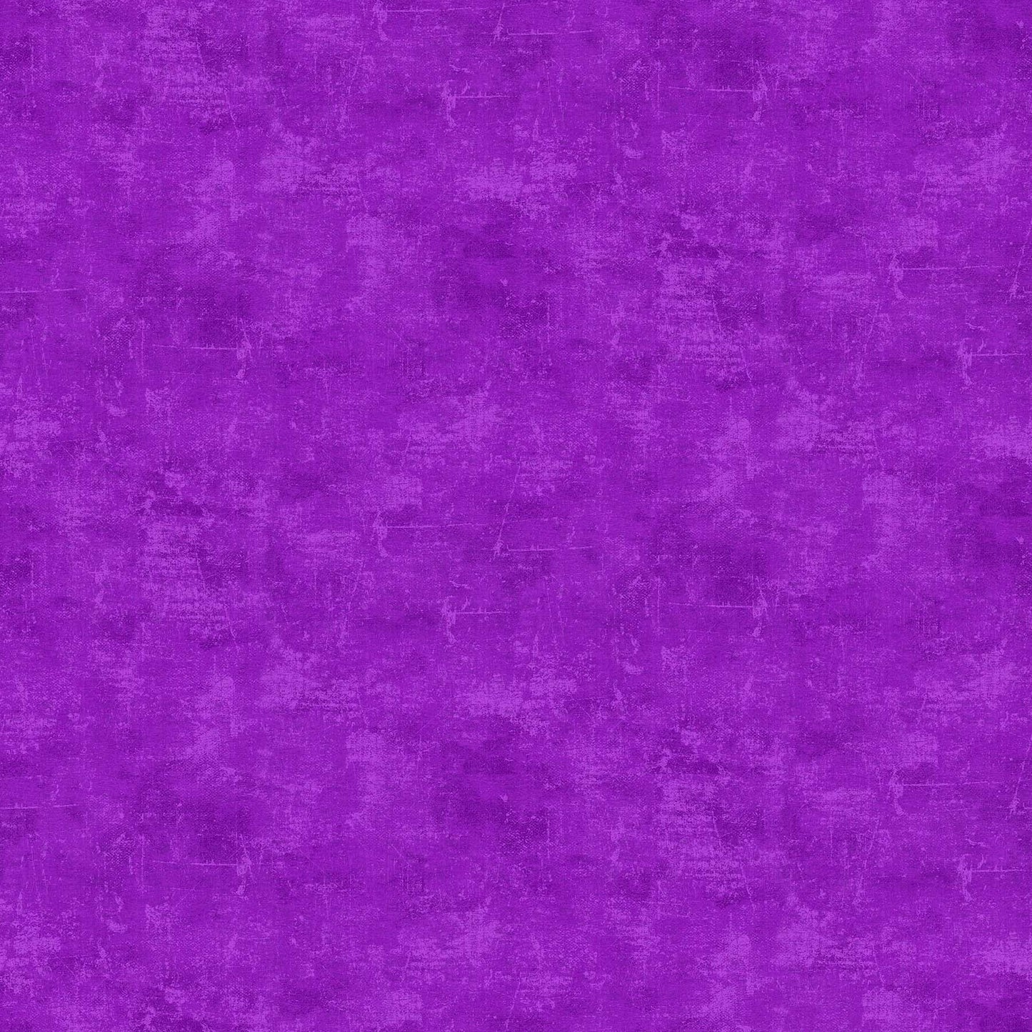 CANVAS Violet 851 NEW