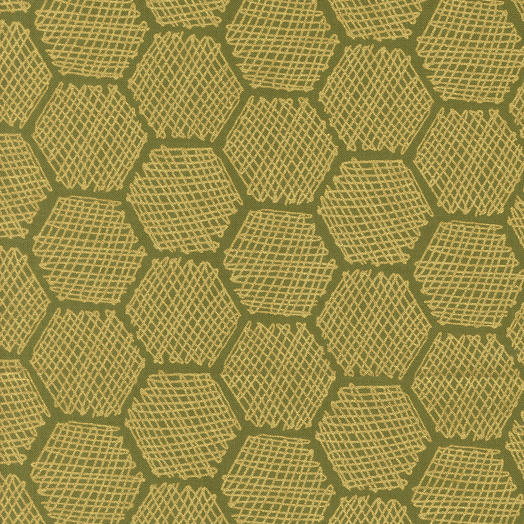 BEE GARDEN Honeycomb ivy