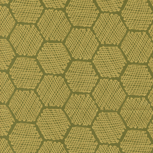 BEE GARDEN Honeycomb ivy