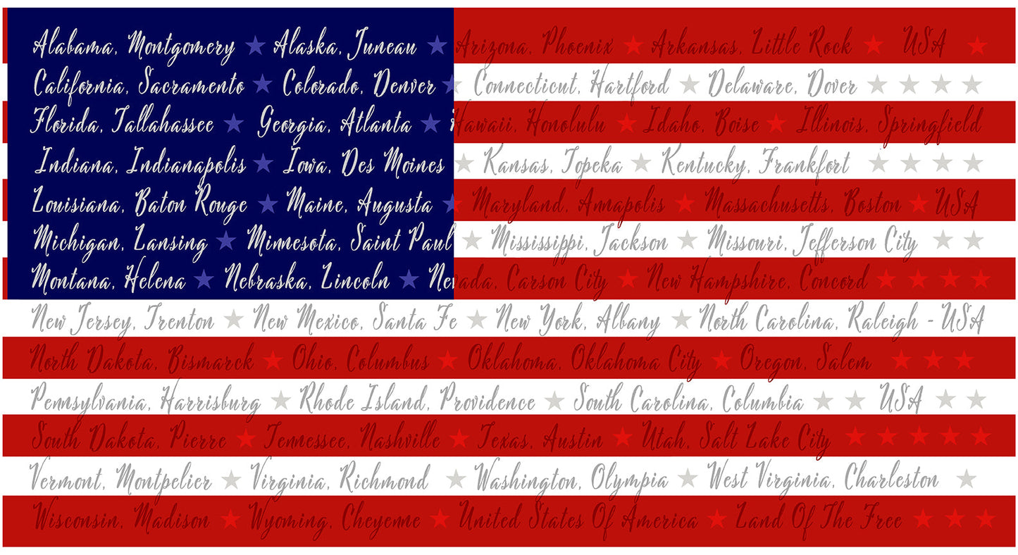 ONE NATION Flag Panel multi 24"x44"