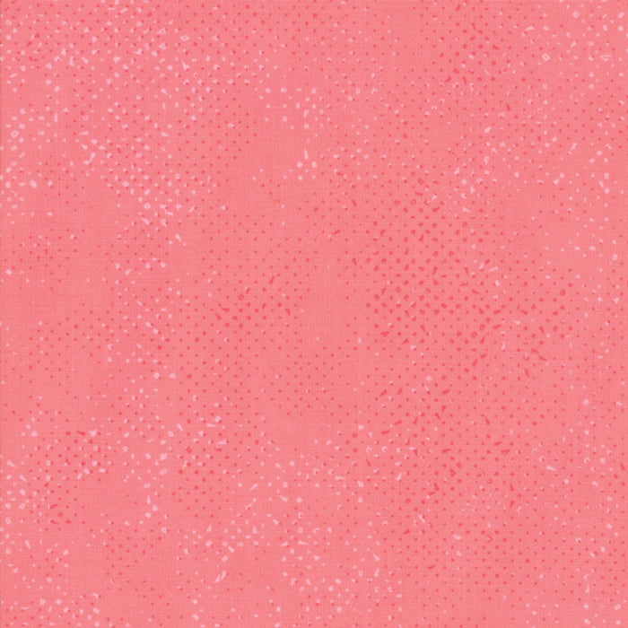 SPOTTED Tea Rose