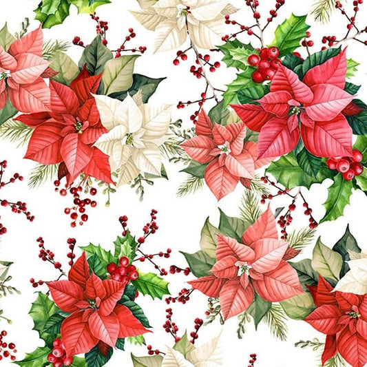 BELIEVE Poinsettias white