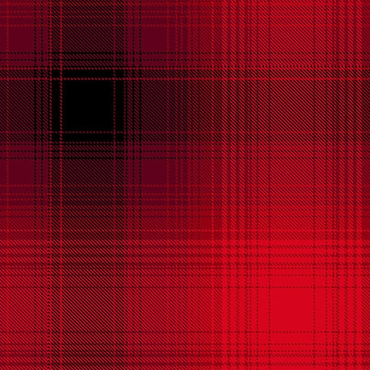 BELIEVE Ombre Plaid red