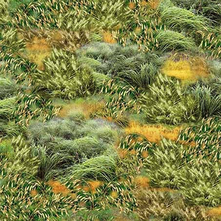 SERENGETI PLAINS Savanna Grasslands