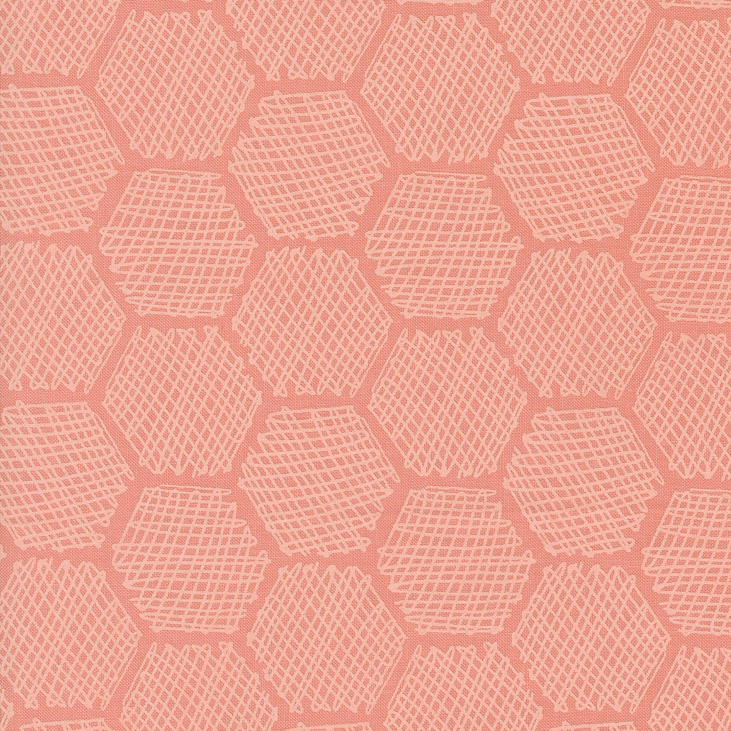 BEE GARDEN Honeycomb carnation