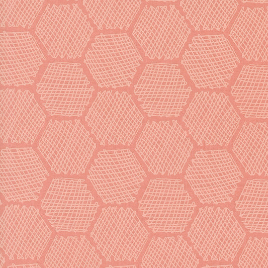 BEE GARDEN Honeycomb carnation