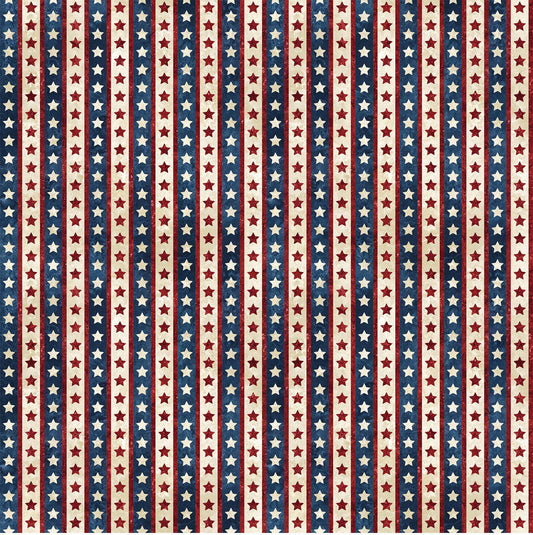 STARS AND STRIPES VII 22782-49