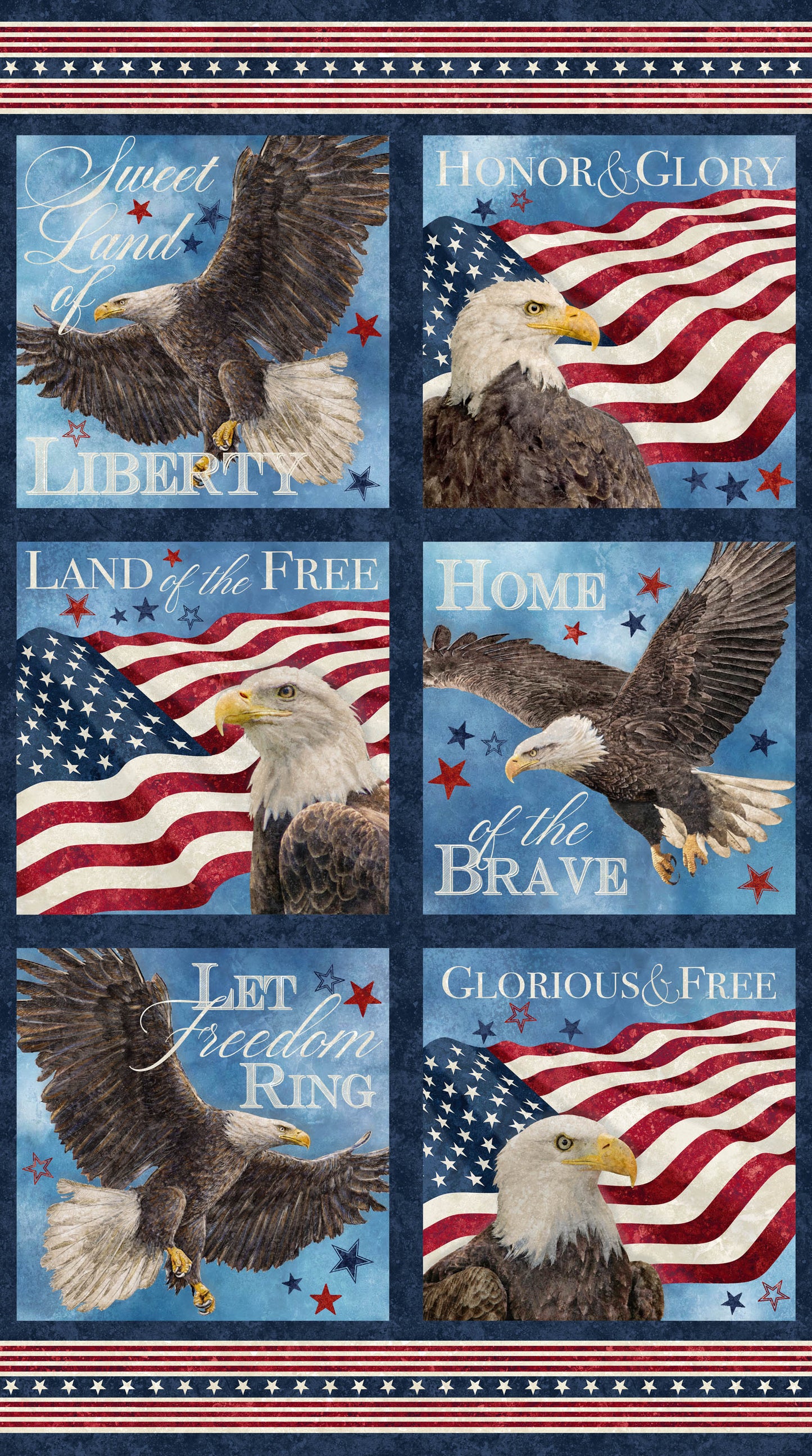 STARS AND STRIPES 13 Blocks navy multi 24"x43"