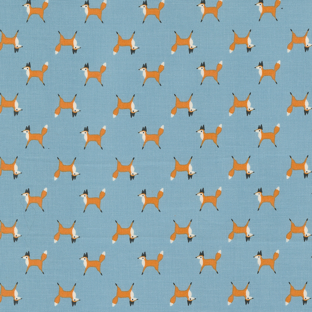 WOODLAND WONDER Fox Trot sky