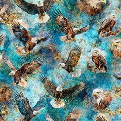 SKYWARD Eagles teal