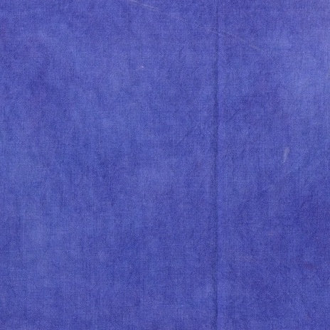 PALETTE blueberry 27