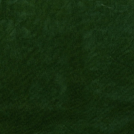 PALETTE alligator 39