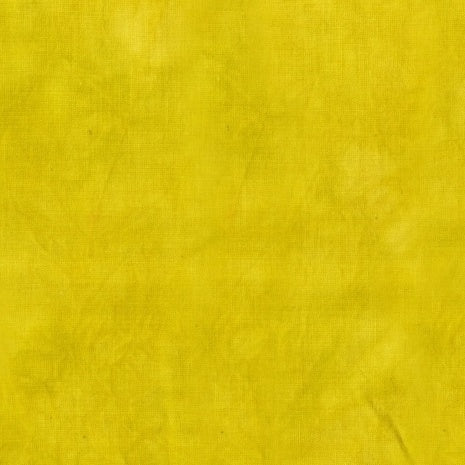 PALETTE chartreuse 40