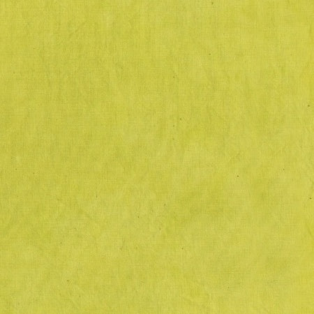 PALETTE lemongrass 45