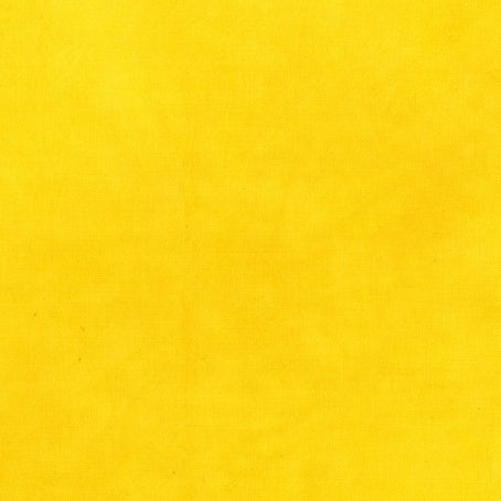 PALETTE daffodil 46