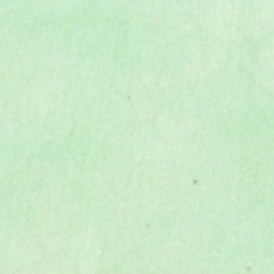 PALETTE minty green 67