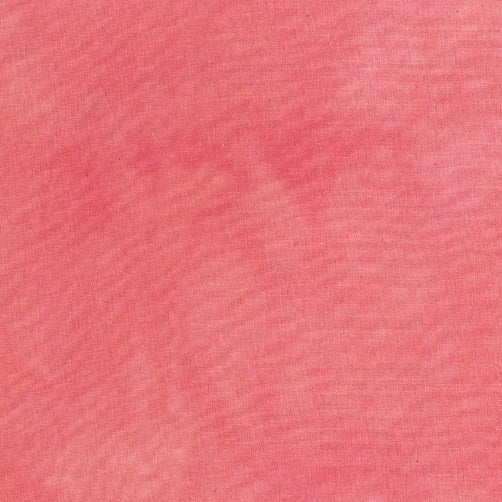 PALETTE cactus 70