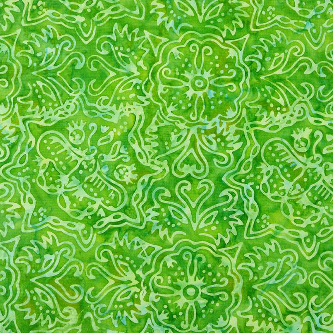 RAINBOW BRIGHTS Kiwi