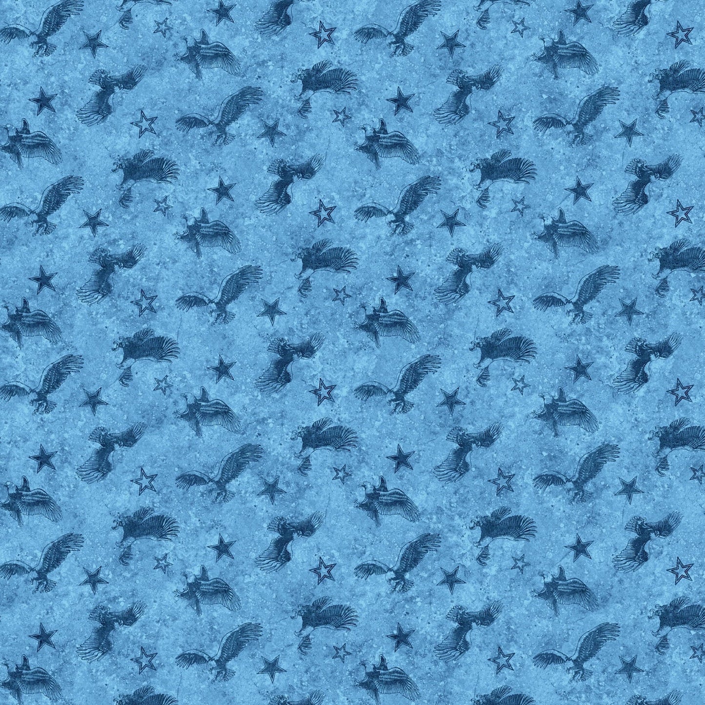 STARS AND STRIPES 13 Tonal Eagle blue