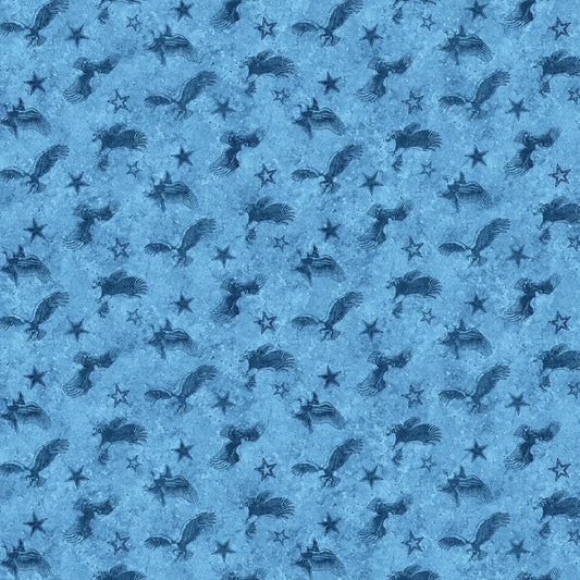 STARS AND STRIPES 13 Tonal Eagle blue