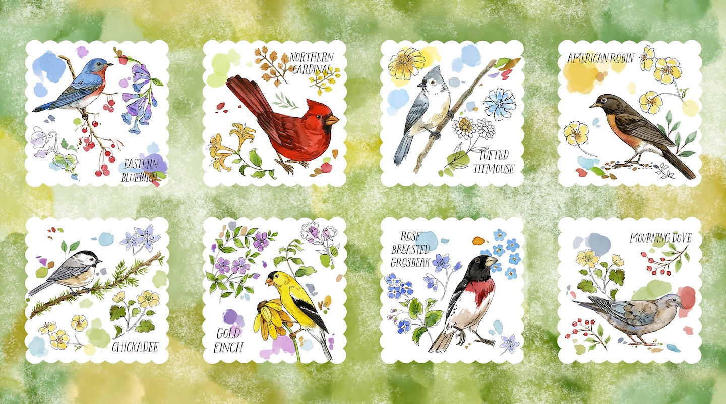 DRAWN TO BIRDS Bird Picture Patches lt green 24"x42" Panel