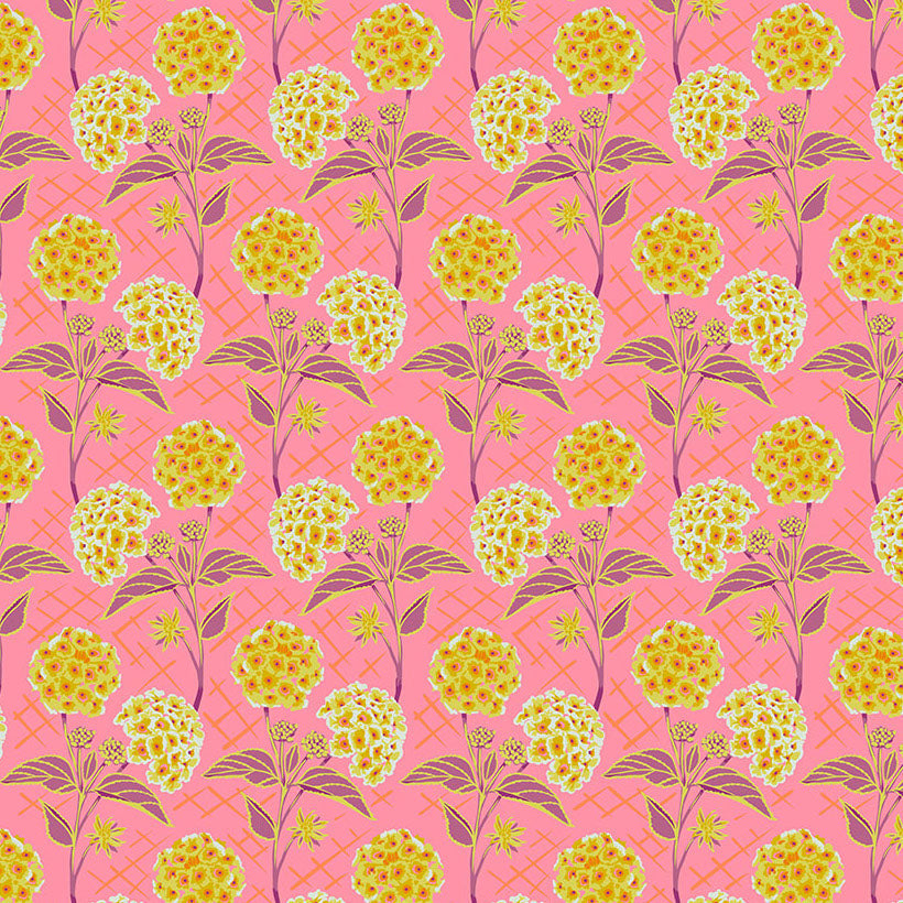 OUR FAIR HOME Trellis peach