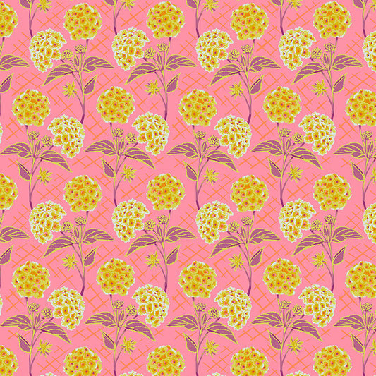 OUR FAIR HOME Trellis peach
