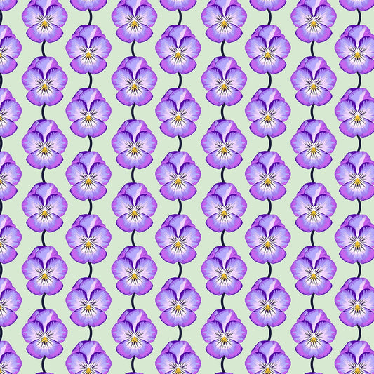ICONIC Pansy lavender