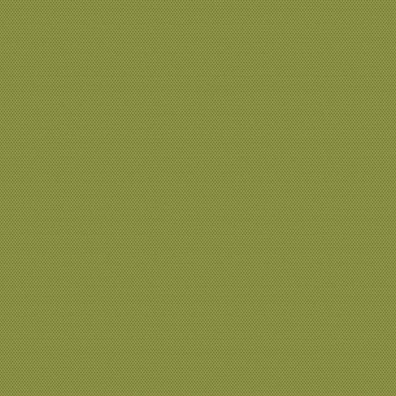 POPARAZZI Olive