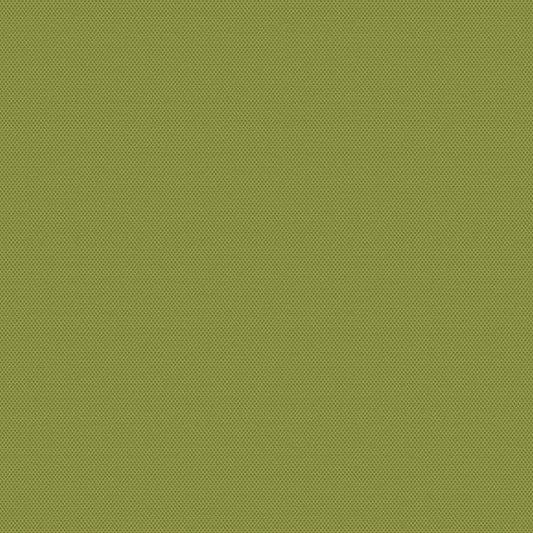 POPARAZZI Olive