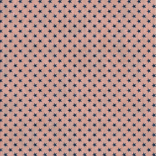 STARS AND STRIPES 13 Stars & Stripes navy multi