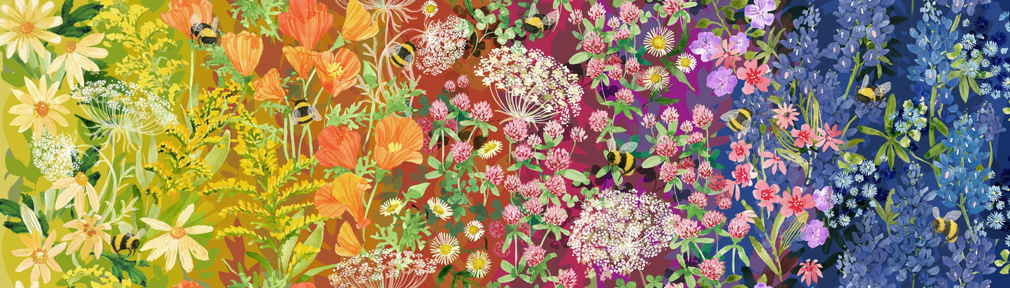 WILD BLOSSOMS Wildflowers rainbow