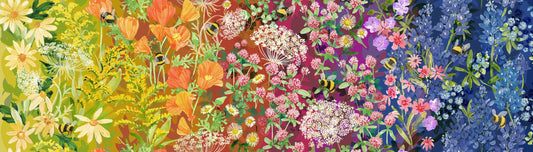 WILD BLOSSOMS Wildflowers rainbow