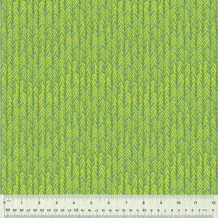 KING OF THE JUNGLE Climbing Vine bright leaf