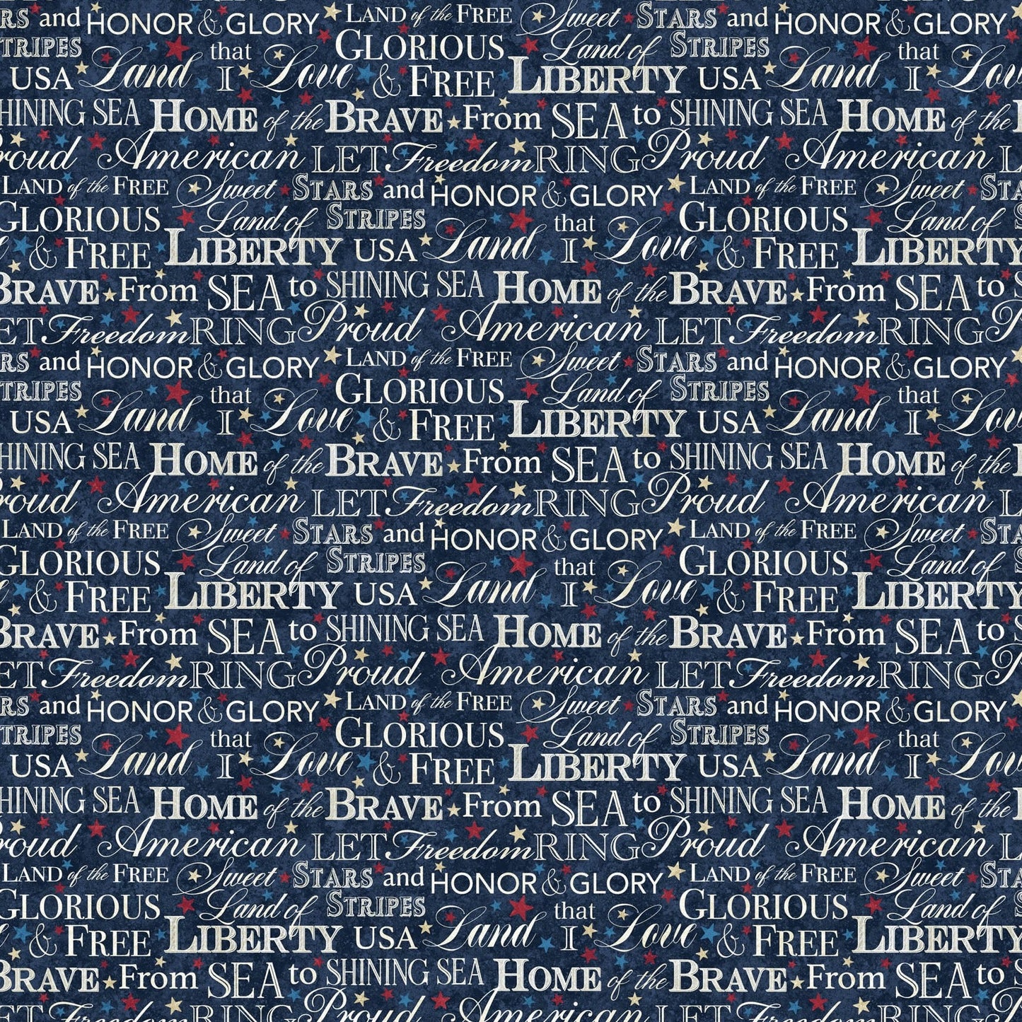 STARS AND STRIPES 13 Words navy multi