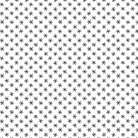 CENTURY BLACK ON WHITE Big Asterisks black on white