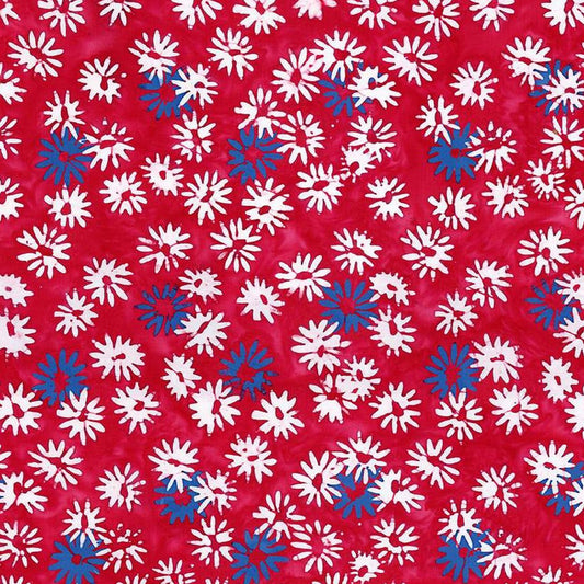 LET FREEDOM REIGN BT23193-223 fireworks