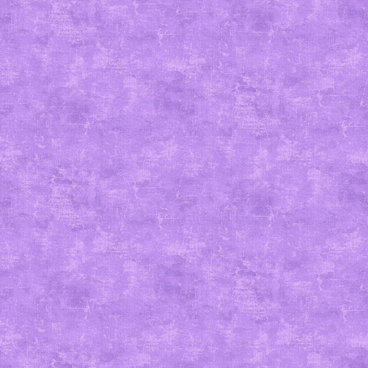 CANVAS Lilac 830 NEW