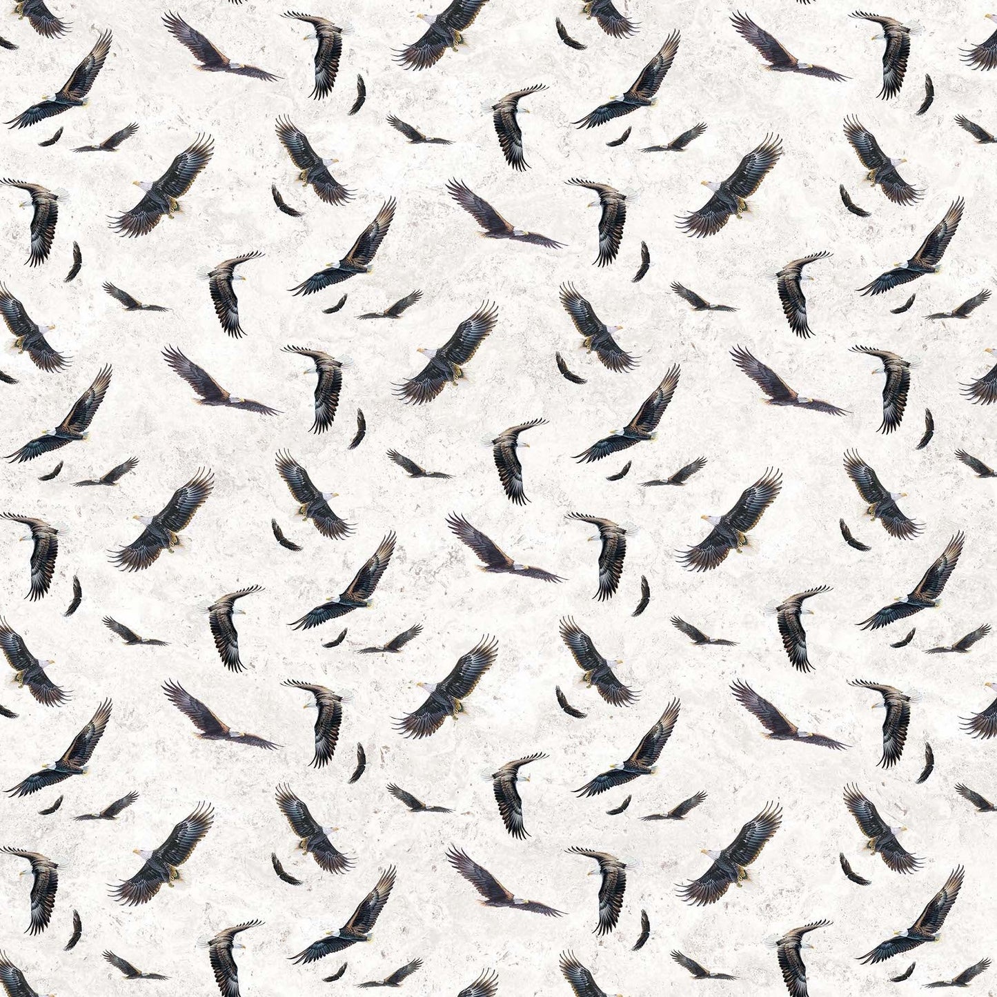 WINGED GLORY Eagle Toss white multi
