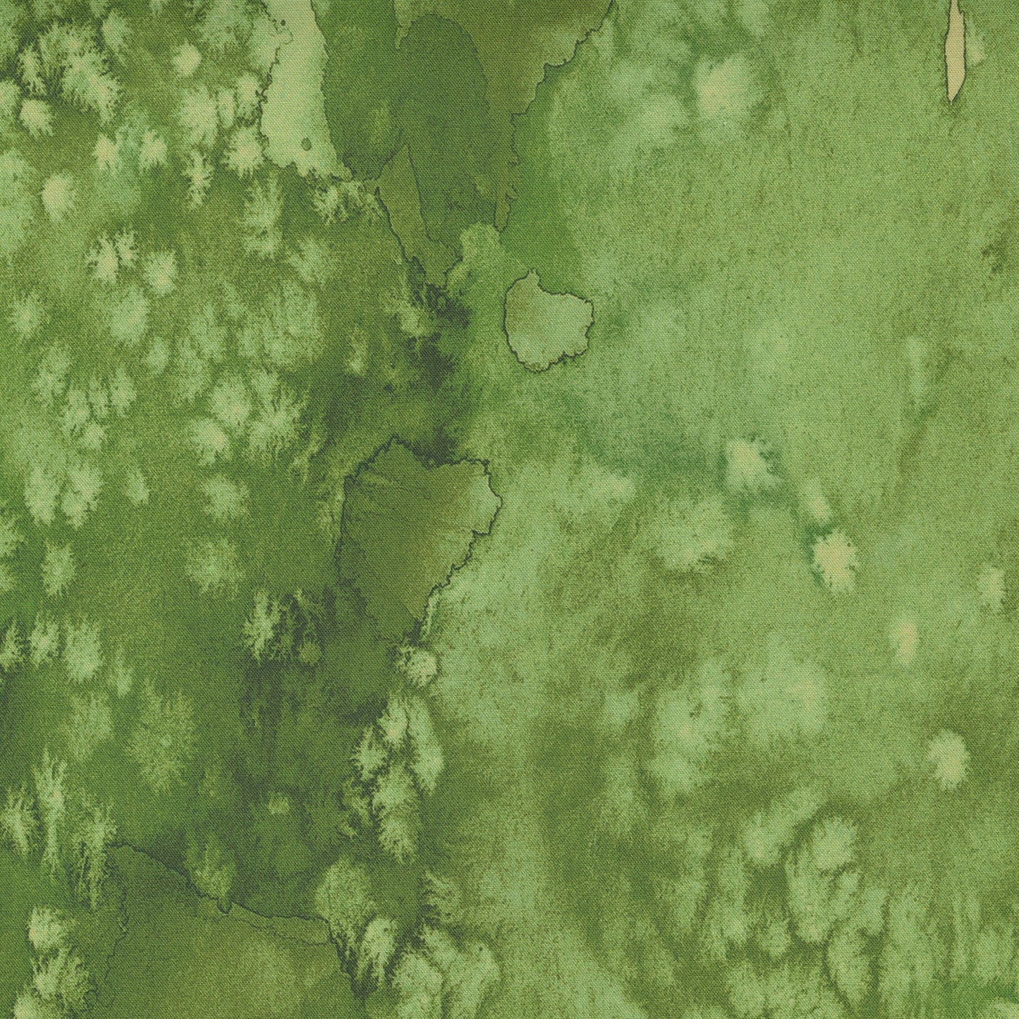 FLOW Fern