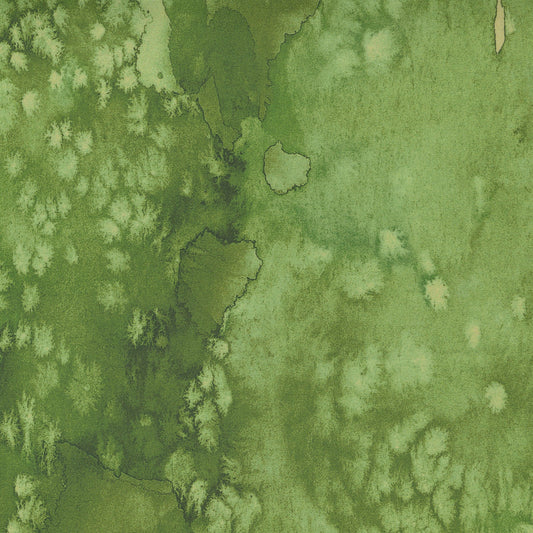 FLOW Fern