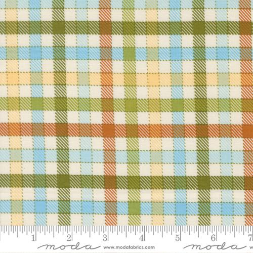 ANIMAL PARK FUN Plaid Iguana