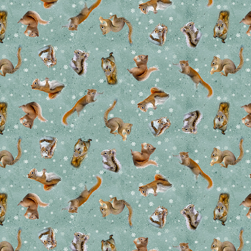 THE SECRET LIFE OF SQUIRRELS II Squirrels teal