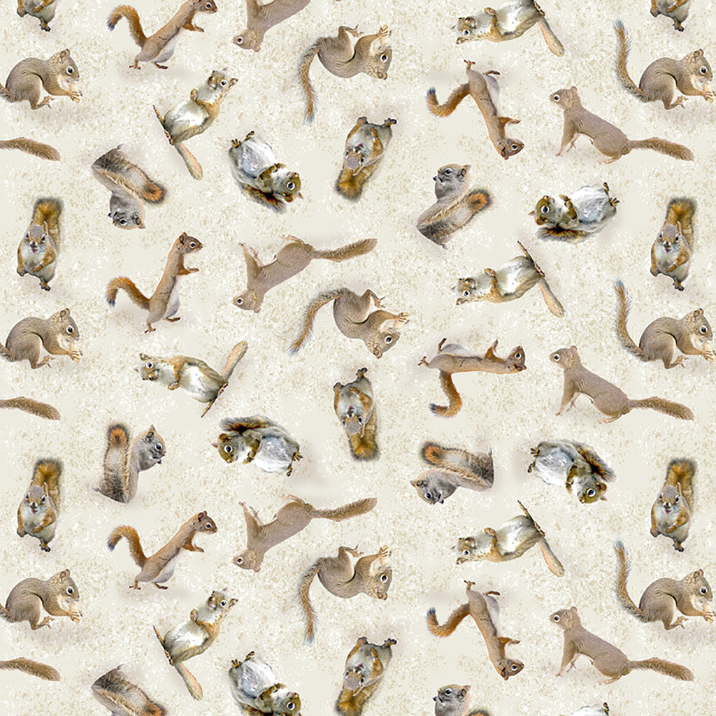 THE SECRET LIFE OF SQUIRRELS Squirrels pale khaki