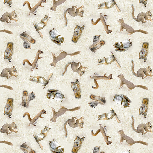 THE SECRET LIFE OF SQUIRRELS Squirrels pale khaki