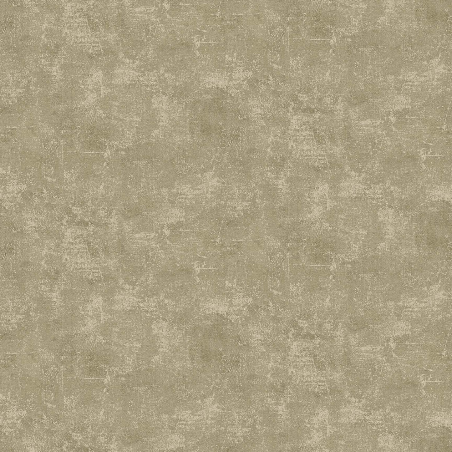 CANVAS Brown Rice 14
