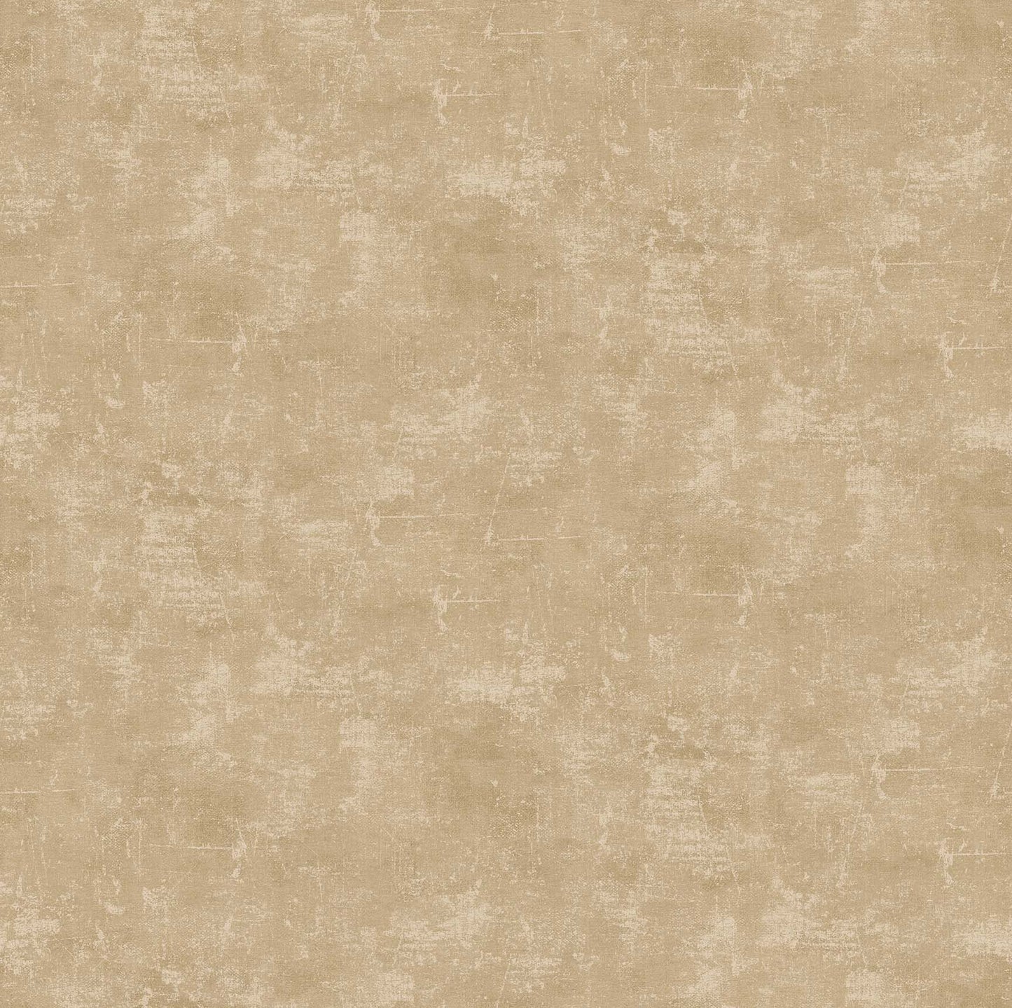 CANVAS Cafe Au Lait 15