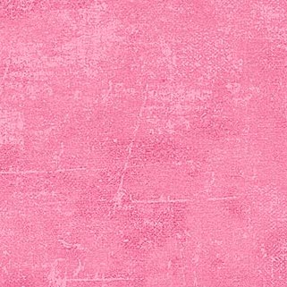 CANVAS Bubblegum 210