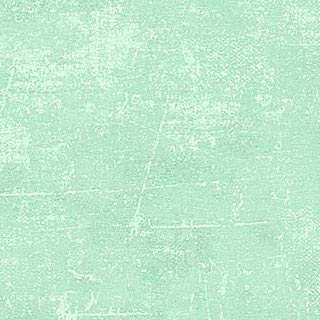 CANVAS Minty -2/3 yd REMNANT