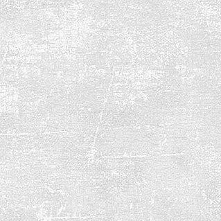 CANVAS Polar Frost 91